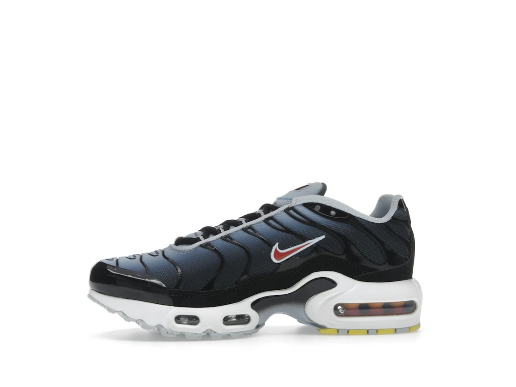 Nike Air Max Plus Blue Tint Rugged Orange (GS)