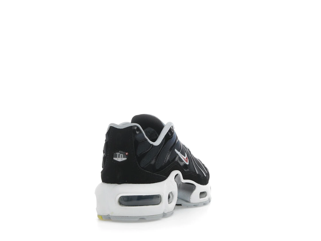 Nike Air Max Plus Blue Tint Rugged Orange (GS)