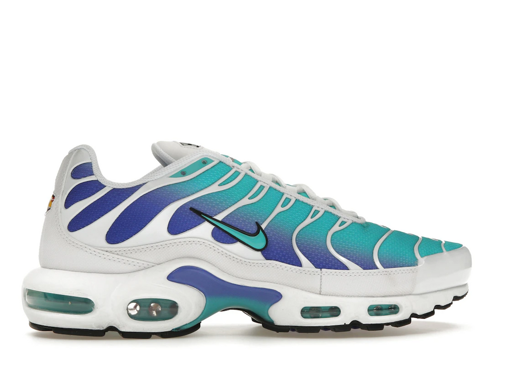 Nike Air Max Plus Aqua