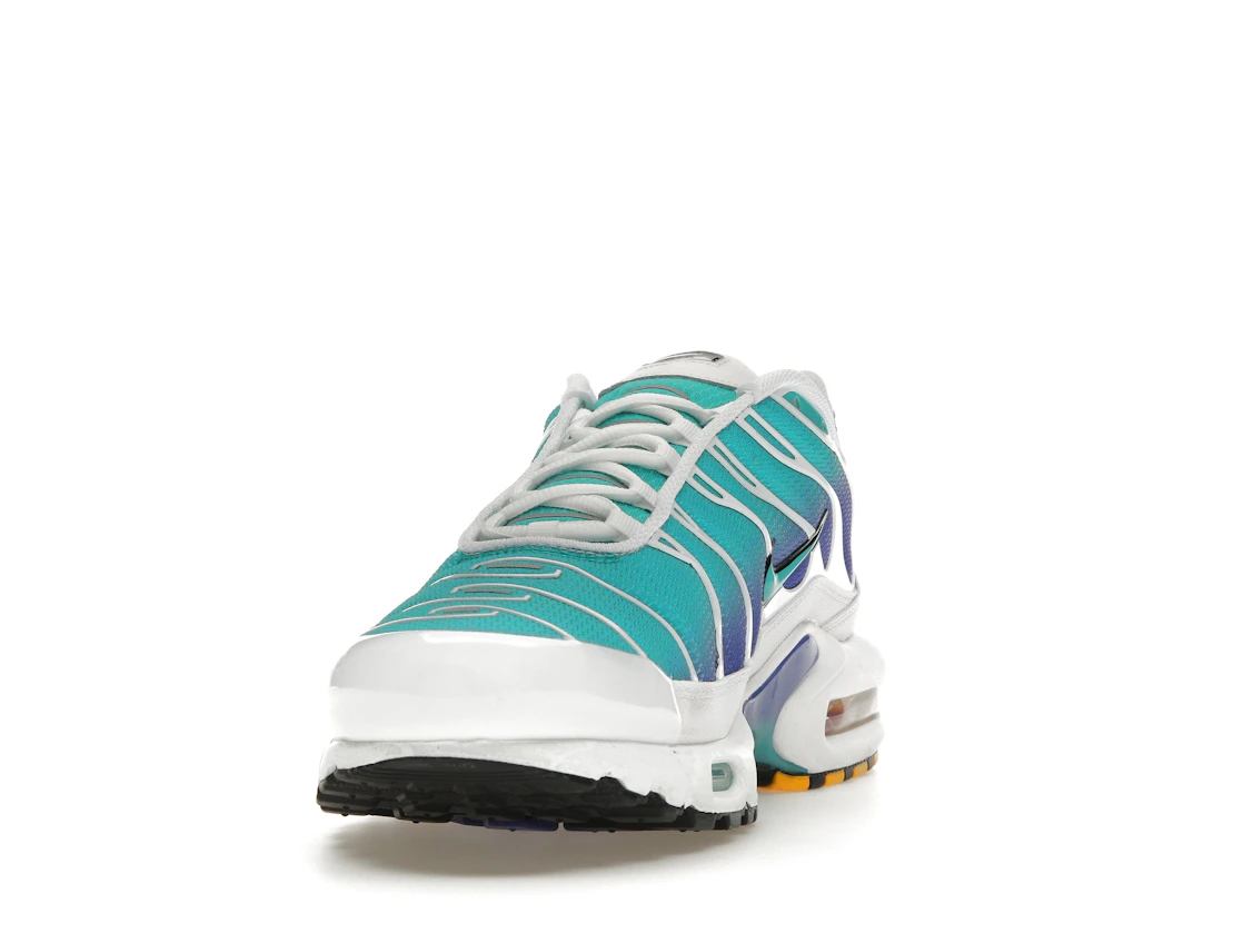 Nike Air Max Plus Aqua