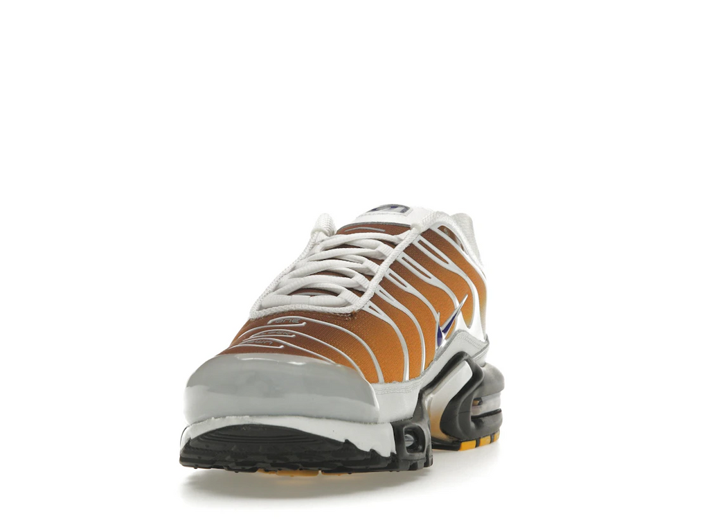 Nike Air Max Plus One Block Down Chutney