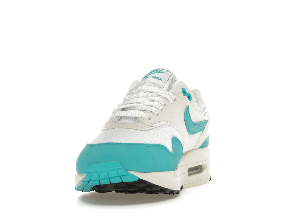 Nike Air Max 1 Dusty Cactus (W)