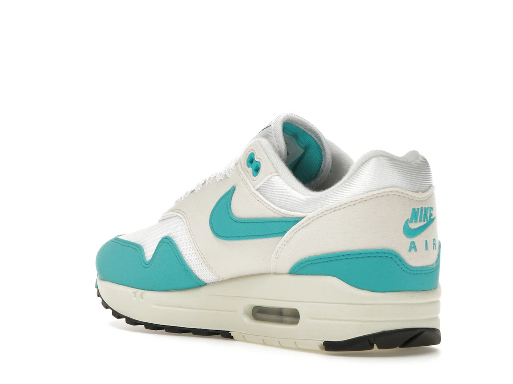Nike Air Max 1 Dusty Cactus (W)