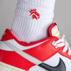 Nike Dunk Low Chicago Split