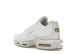 Nike Air Max Plus A-COLD-WALL Platinum Tint