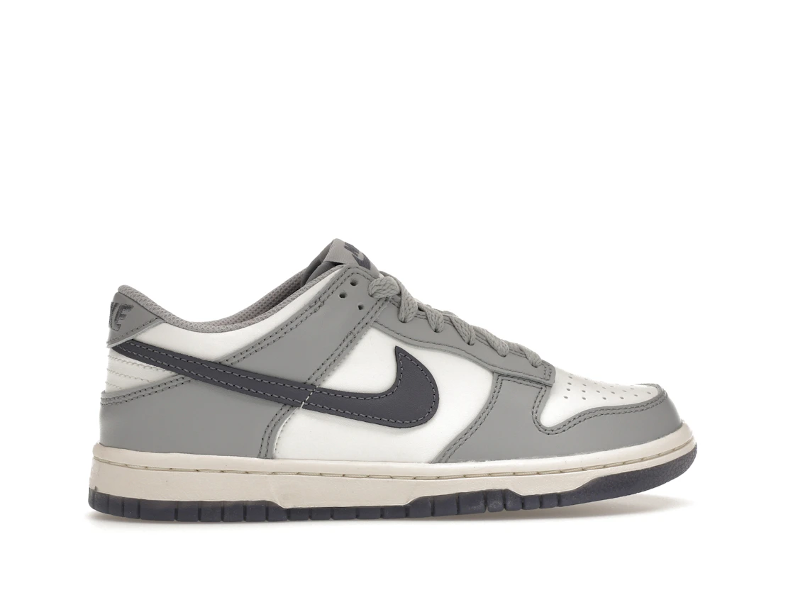 Nike Dunk Low Platinum Tint Light Carbon (GS)