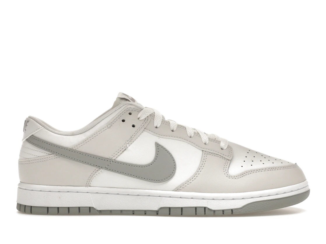 tenisky a boty Nike Dunk Low Retro Summit White Light Smoke Grey DV0831-106 ADONIO