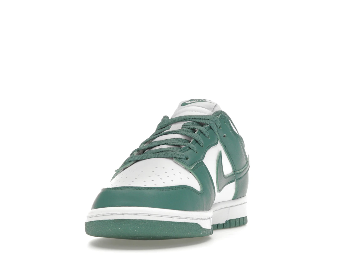 Nike Dunk Low Next Nature Bicoastal (W)