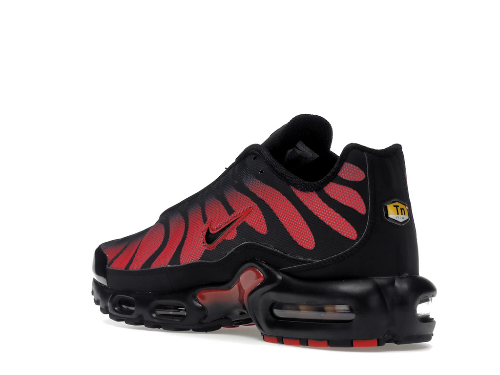 tenisky a boty Nike Air Max Plus Bred Reflective DZ4507-600 ADONIO