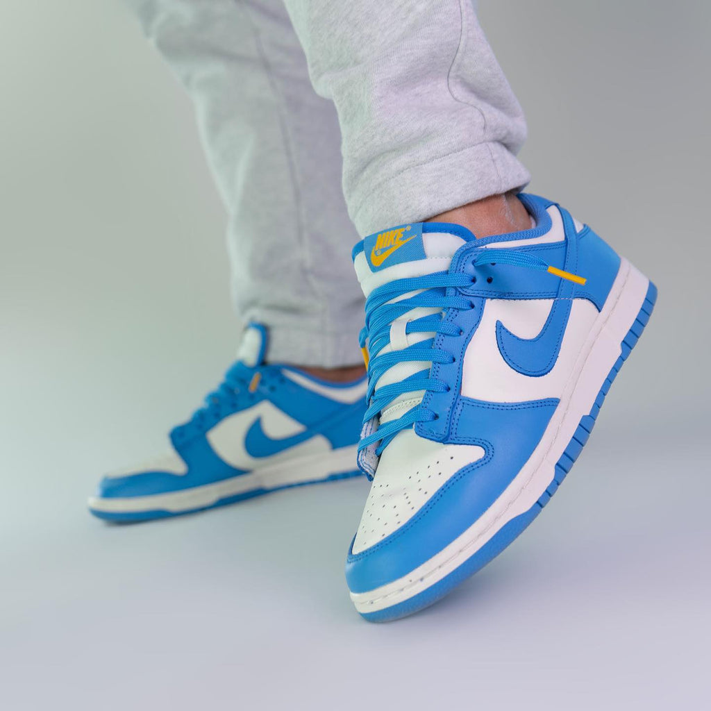 Nike Dunk Low Coast (W)
