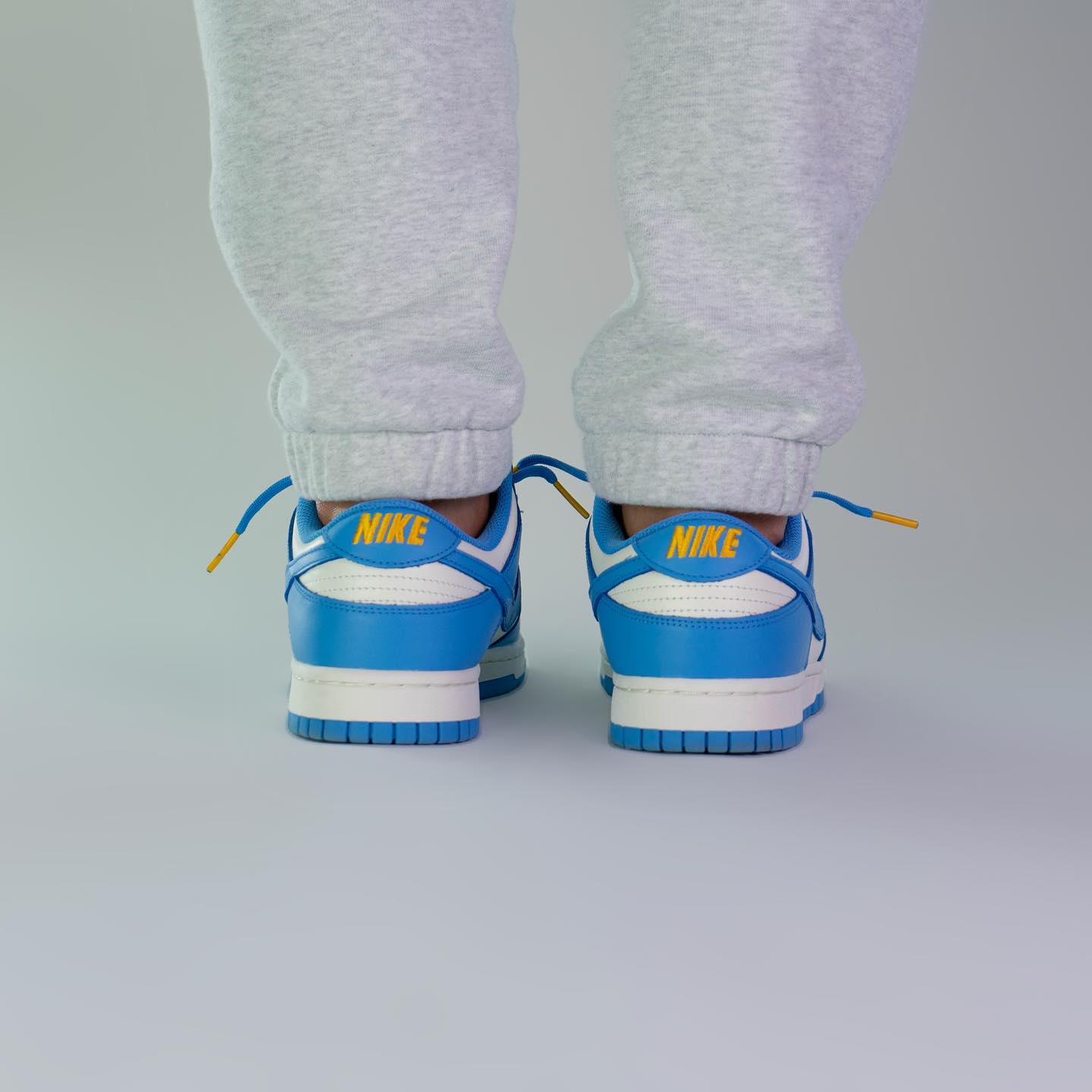 Nike Dunk Low Coast (W)