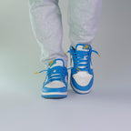 Nike Dunk Low Coast (W)