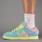Nike SB Dunk Low Verdy Visty