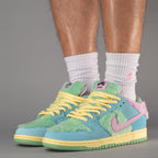 Nike SB Dunk Low Verdy Visty