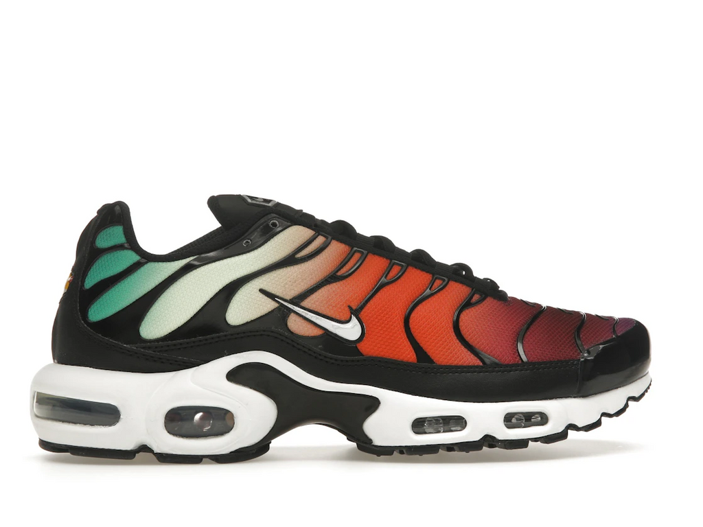 Nike Air Max Plus Rainbow (W)