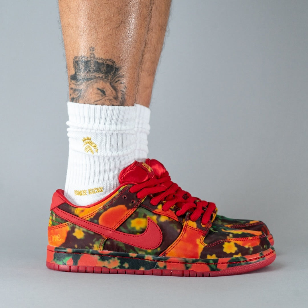 Nike SB Dunk Low The Wizard of Oz Poppy Field