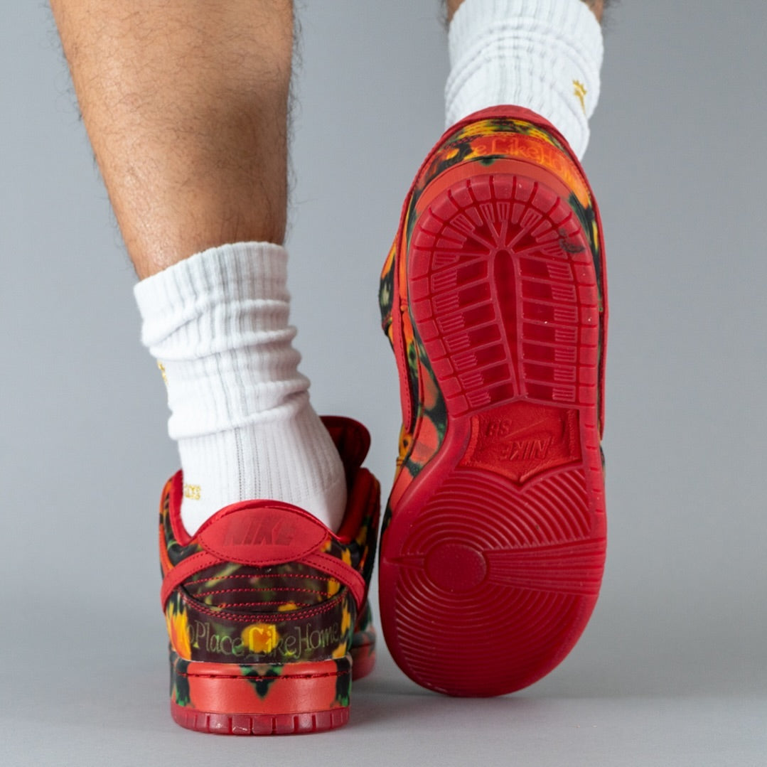 Nike SB Dunk Low The Wizard of Oz Poppy Field