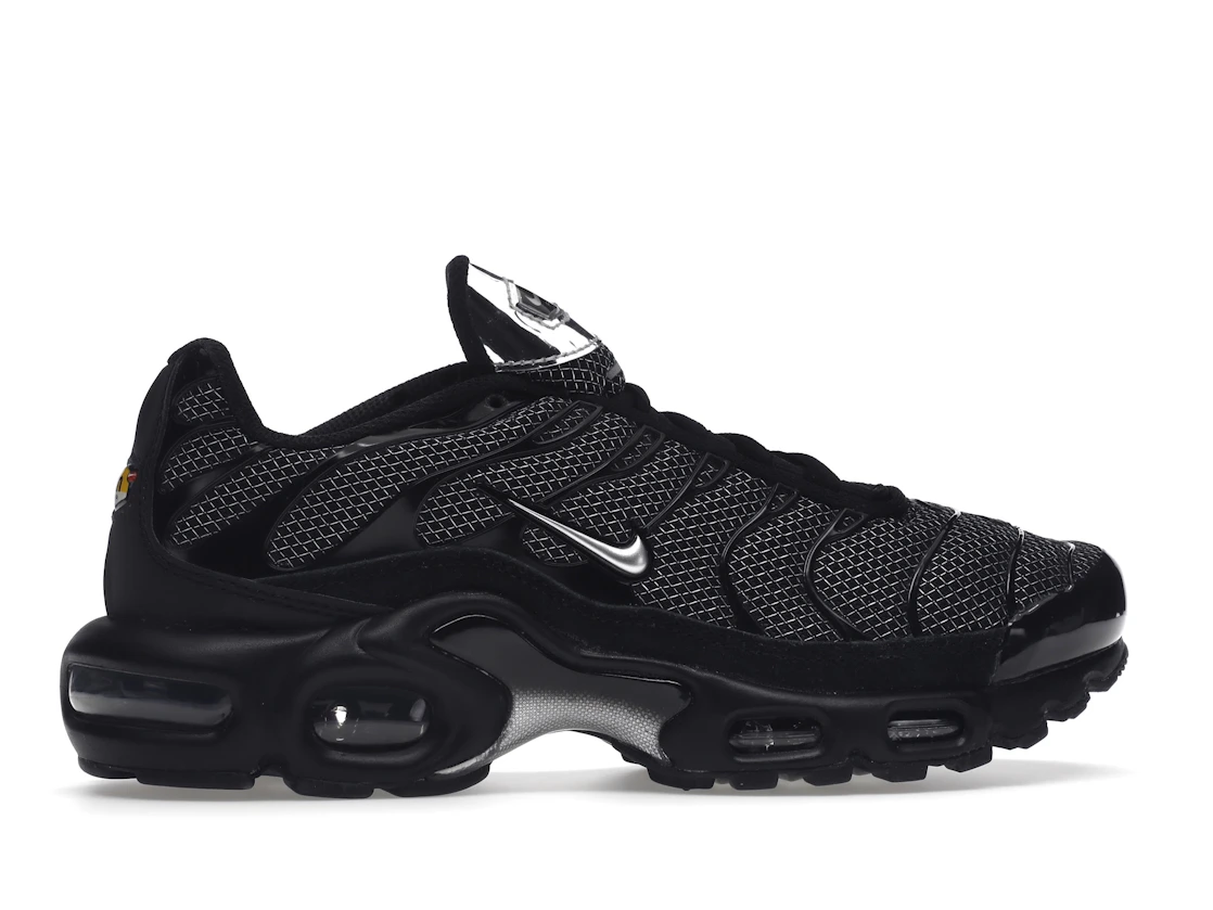 Nike Air Max Plus Black Suede Silver (W)