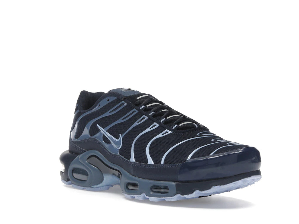 Nike Air Max Plus Obsidian Aluminum