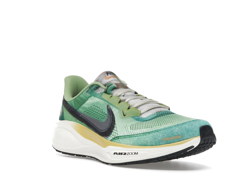 tenisky a boty Nike Air Zoom Pegasus 41 Waffle Racer IH3583-999 ADONIO